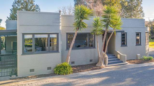 370 State Highway 57 Levin_2
