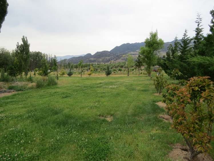 1180 Luggate - Cromwell Road Cromwell_9