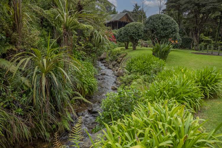 586 Tapu Coroglen Road Coromandel Forest Park_8