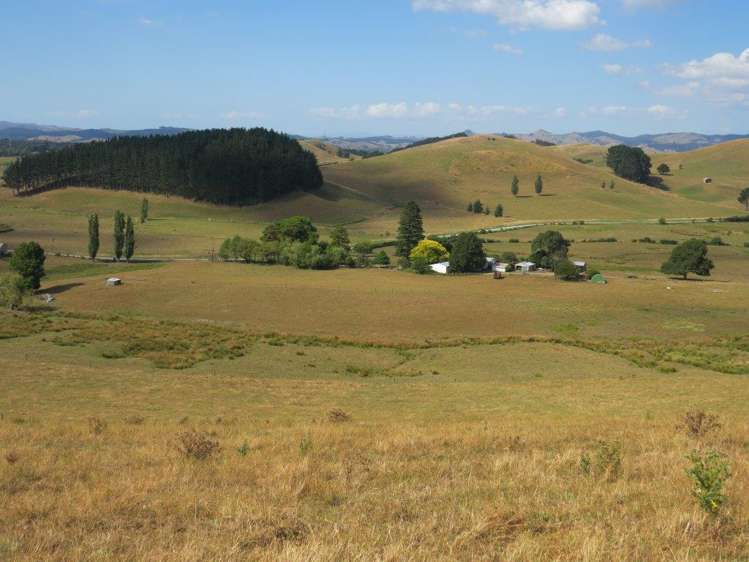 314 Martin Road Waerenga_8