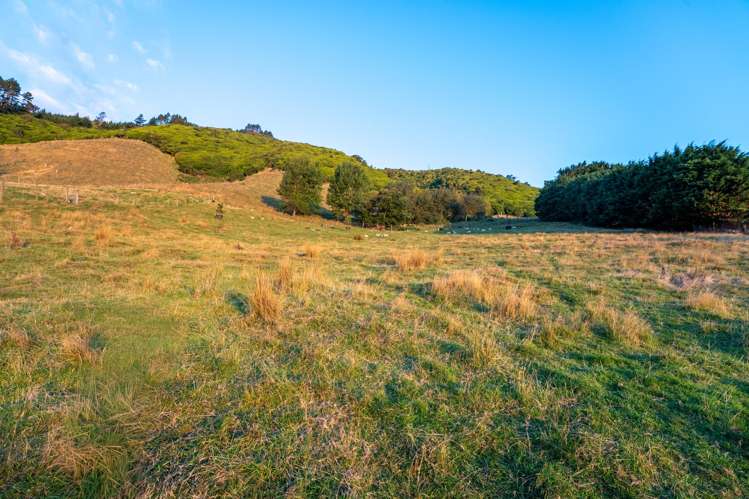 251 Huia Street Waikanae_3