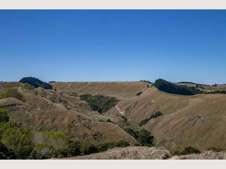 386 State Highway 4 Upokongaro_8