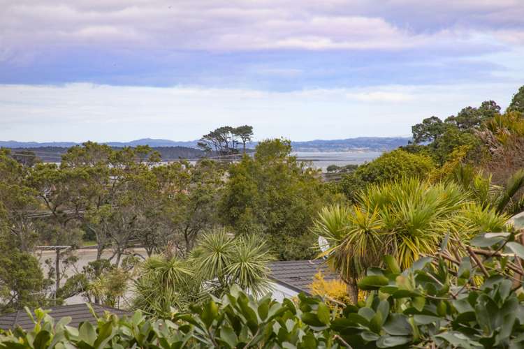 85 Frederick Street Hillsborough_22