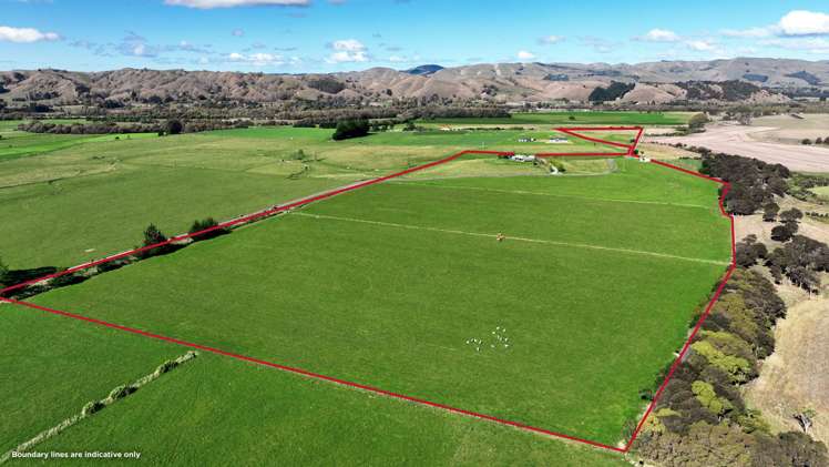 661 Cornwall Road East Taratahi_21