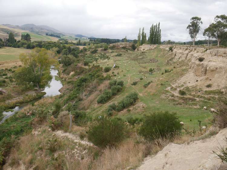 1390 Dunback-Morrisons Road Waynes_26