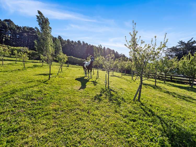 26 Horotane Valley Road Heathcote Valley_41