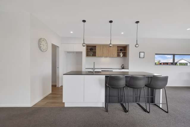 1 Waterford Place Tinwald_3