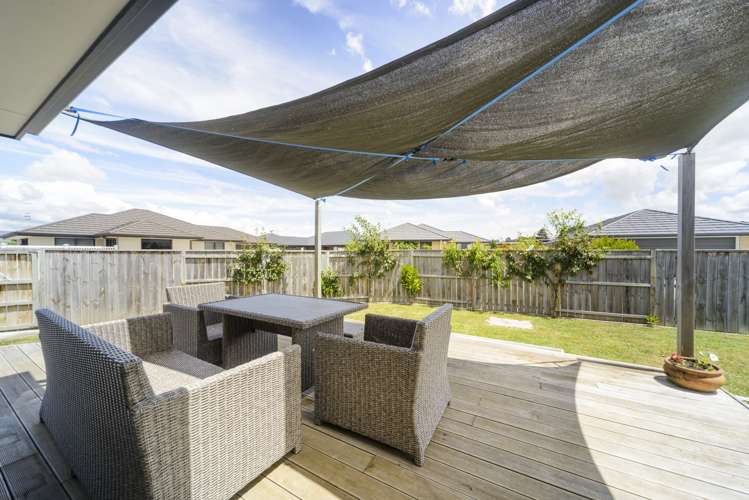 14 Oak Crescent Ashhurst_14