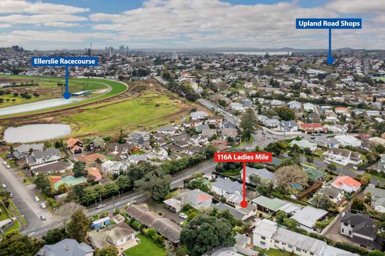 116a Ladies Mile Ellerslie_23
