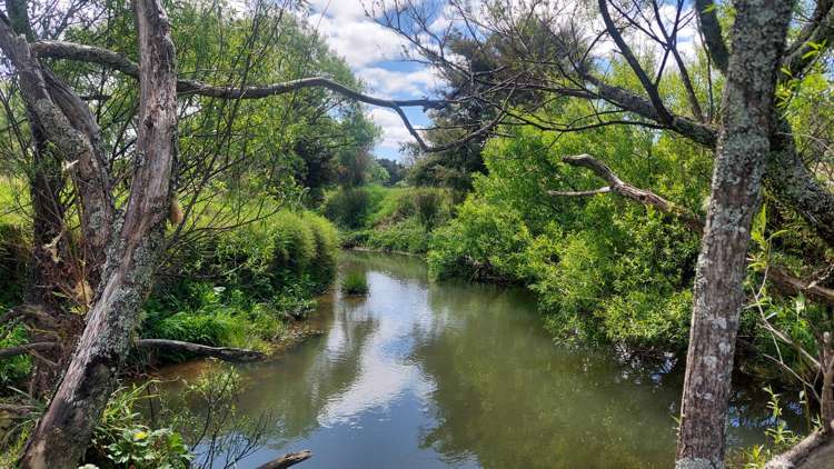 152 McBreen Road Hikurangi Rd1_42