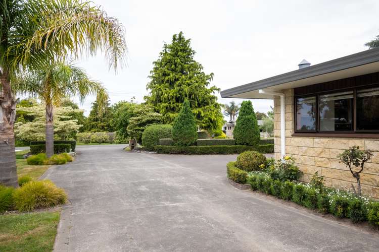 25 Jervois Road Jervoistown_34