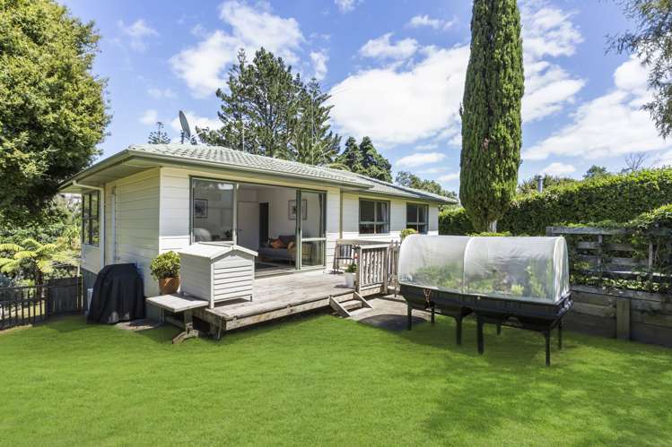 53 Stott Avenue Birkdale_5