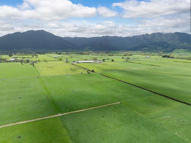 McKinley Road Te Aroha_3