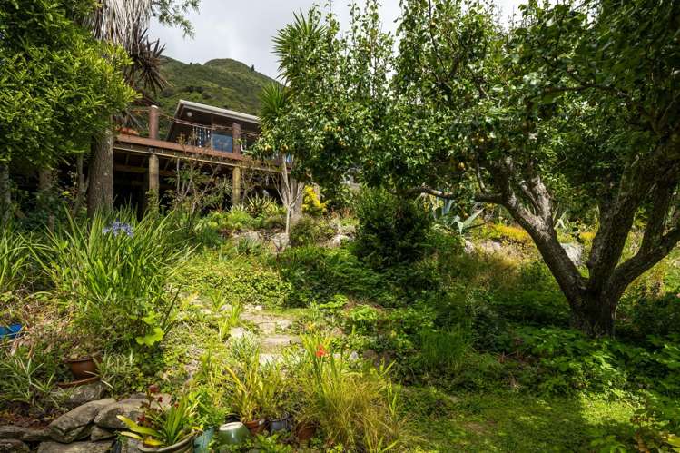 Lot 1 Anakoha Bay Marlborough Sounds_18