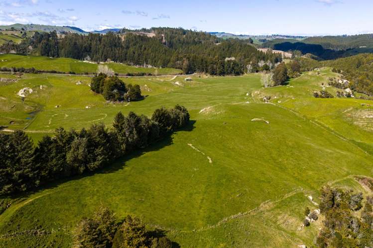 534 Kaahu Road Mangakino_13