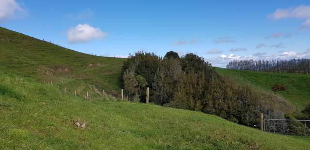 650 Bayley Road Te Awamutu_4