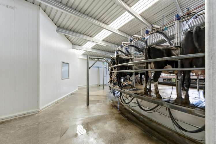 803 Ardlui Road Te Pirita_12