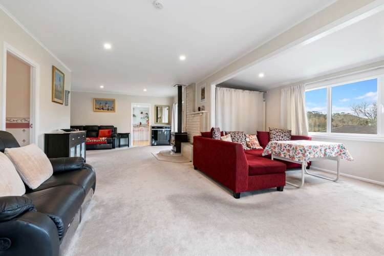 443 Pine Valley Road Dairy Flat_6