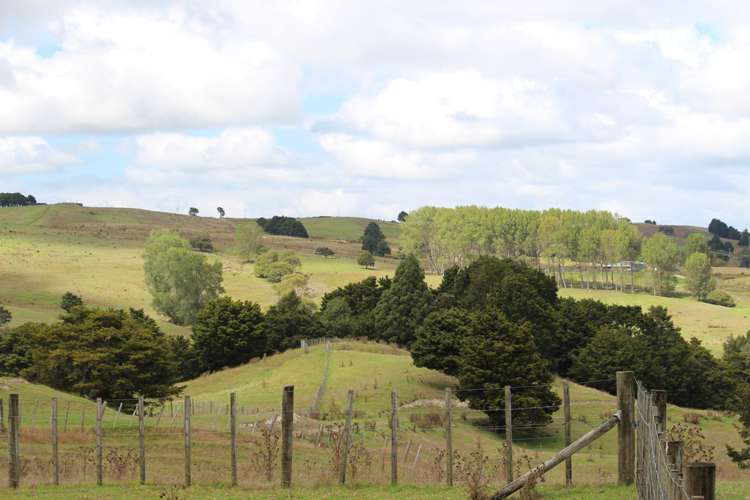 Aponga Road Ruatangata_7