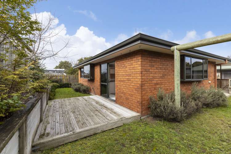 65A Kowhai Drive Renwick_14