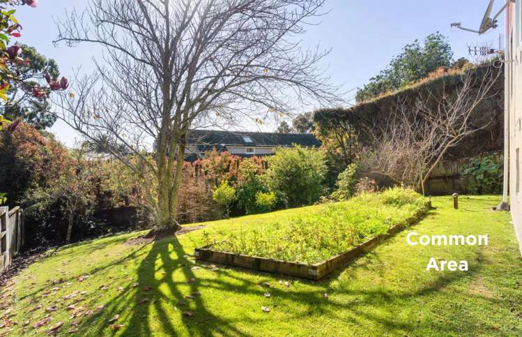 5/710 Remuera Road Remuera_10