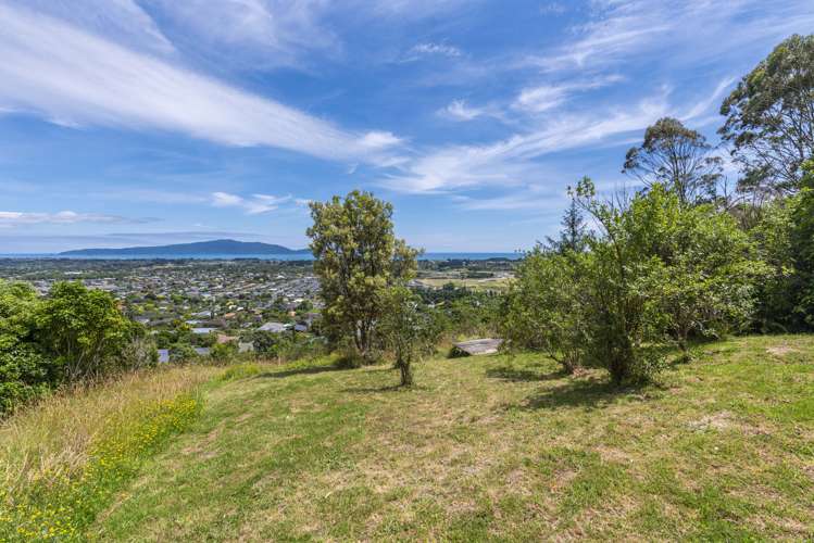 61A Kotare Street Waikanae_9