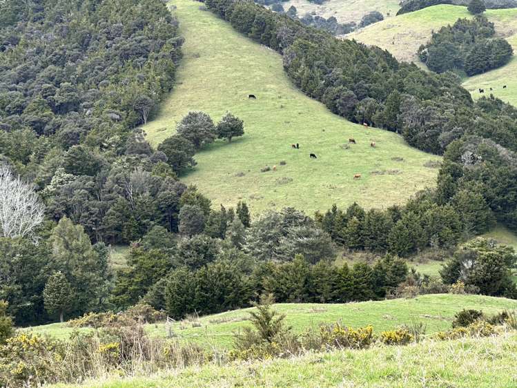 Bently Road Ruawai_8