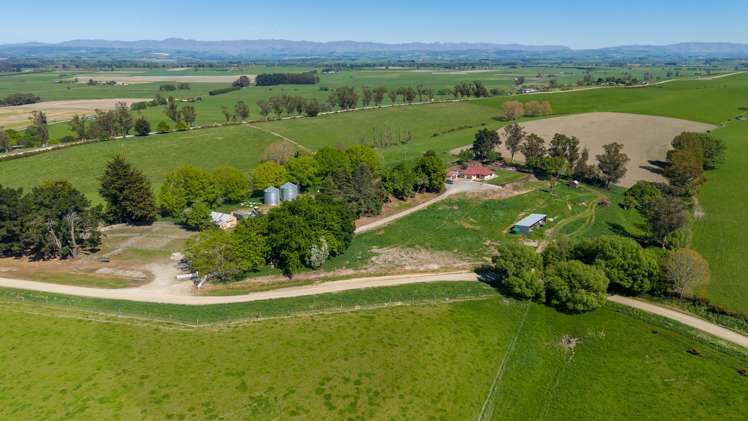 49 McCully Road Temuka_20