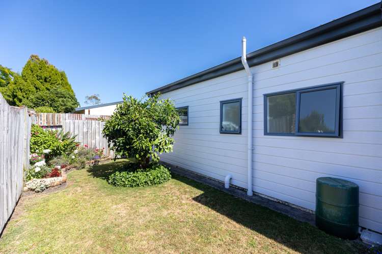 3b Princess Street Te Puke_18