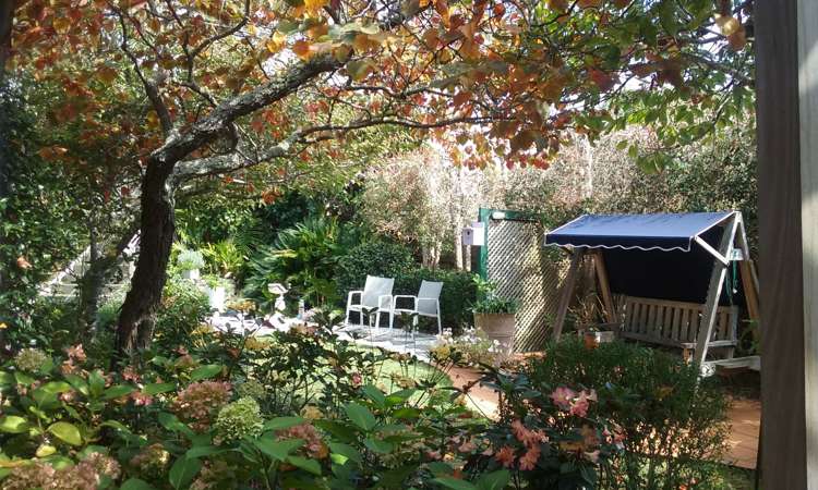 6 Joydon Place Stanmore Bay_24