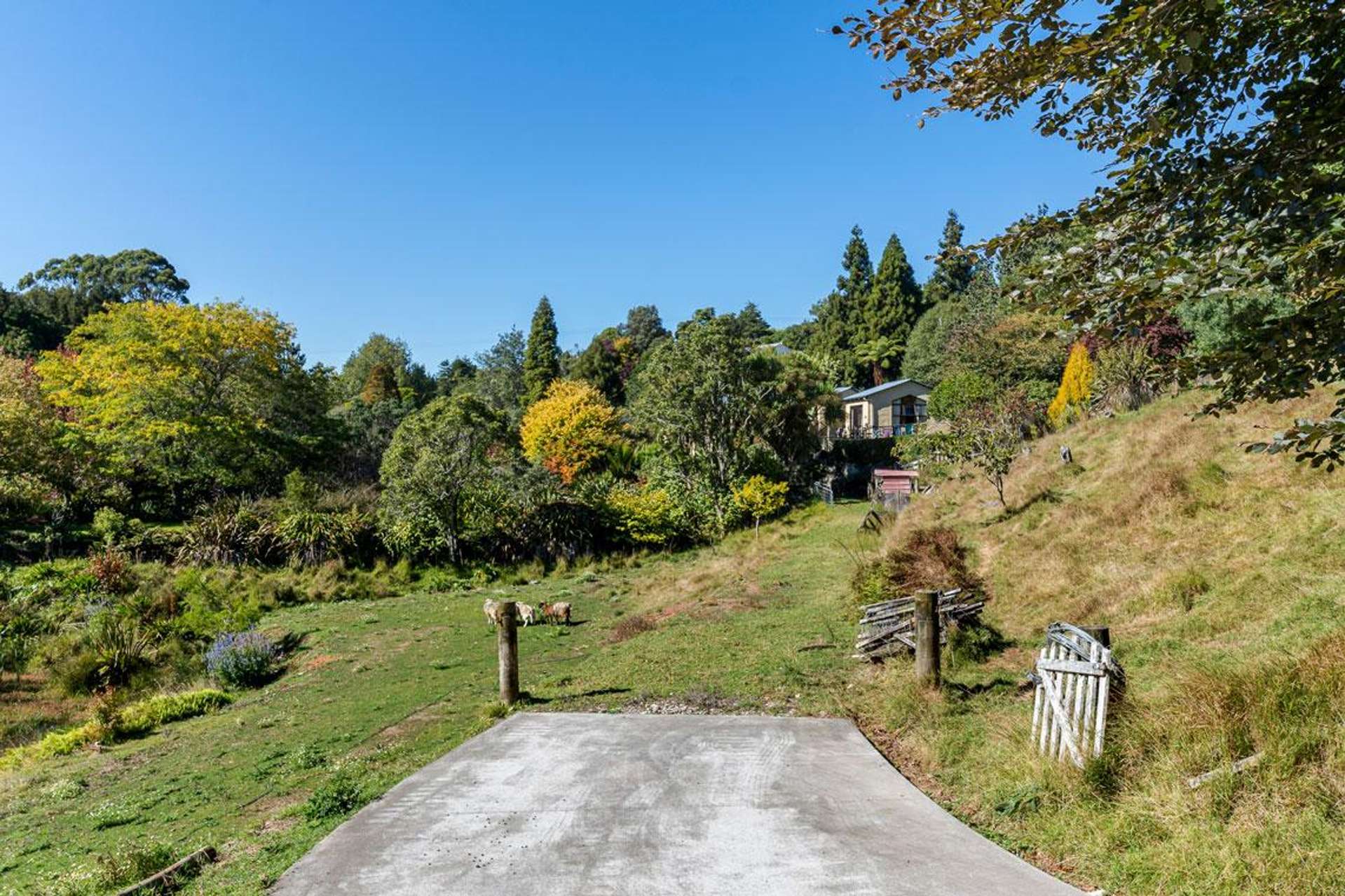 144b Heta Road Highlands Park_0