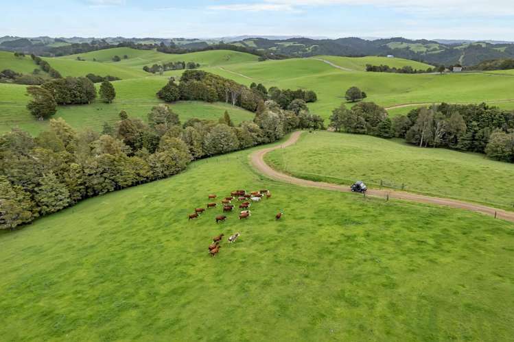 123 Waipipi Road Whananaki_33