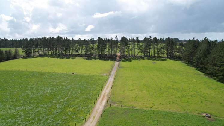 00 Waiare Road Kerikeri_7