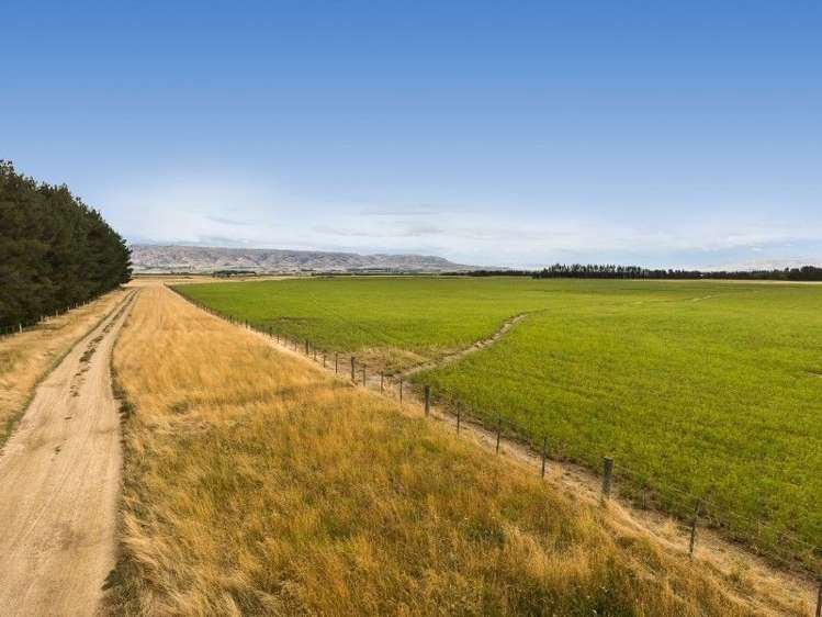 986 Gimmerburn-Waipiata Road Ranfurly_14