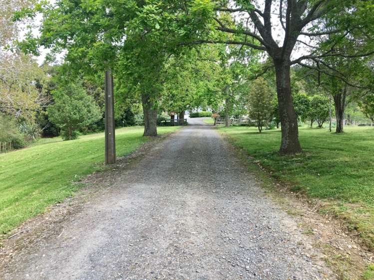 48 Durey Road Dairy Flat_22