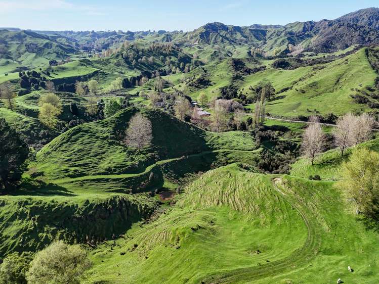 56 Makakahi Road Ruapehu-King Country Surrounds_15