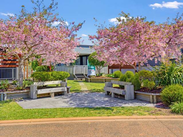 114/61 Golden Sands Drive Papamoa Beach