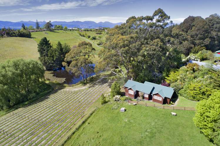 135 Awa Awa Road Tasman_23