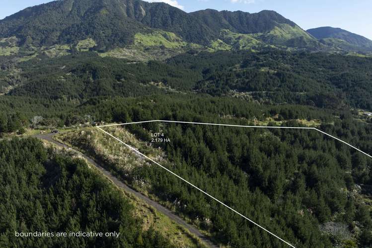 Lot 3 and 4/169 Tunatahi Road Panguru_11