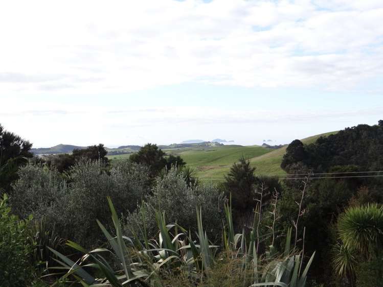 206 Kauri Mountain Road Taiharuru_5