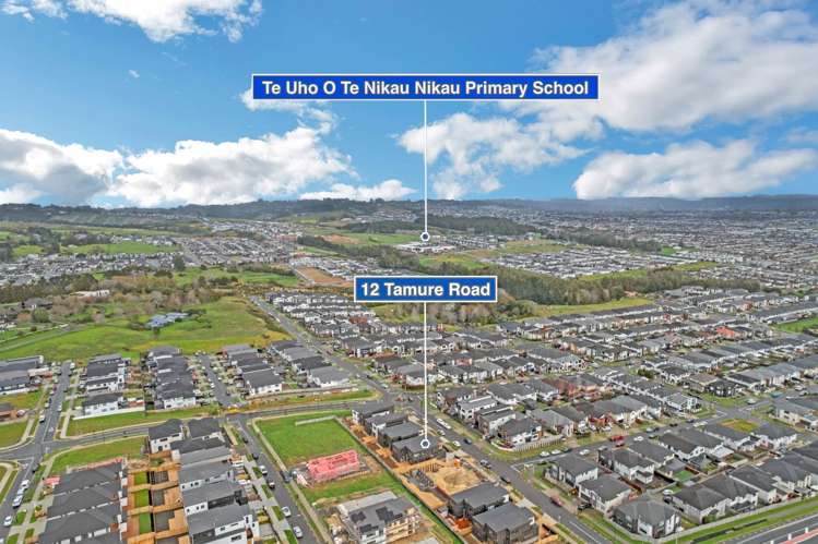 12 Tamure Road Flat Bush_38