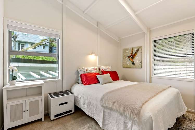 8 Mount Pleasant Road Aro Valley_9