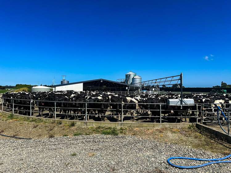 83 Fraser Road Winton Surrounds_6