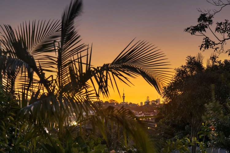 45 Long Drive Saint Heliers_30