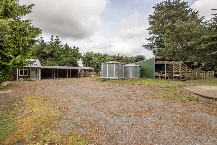 1435 Poyntzs Road West Eyreton_19