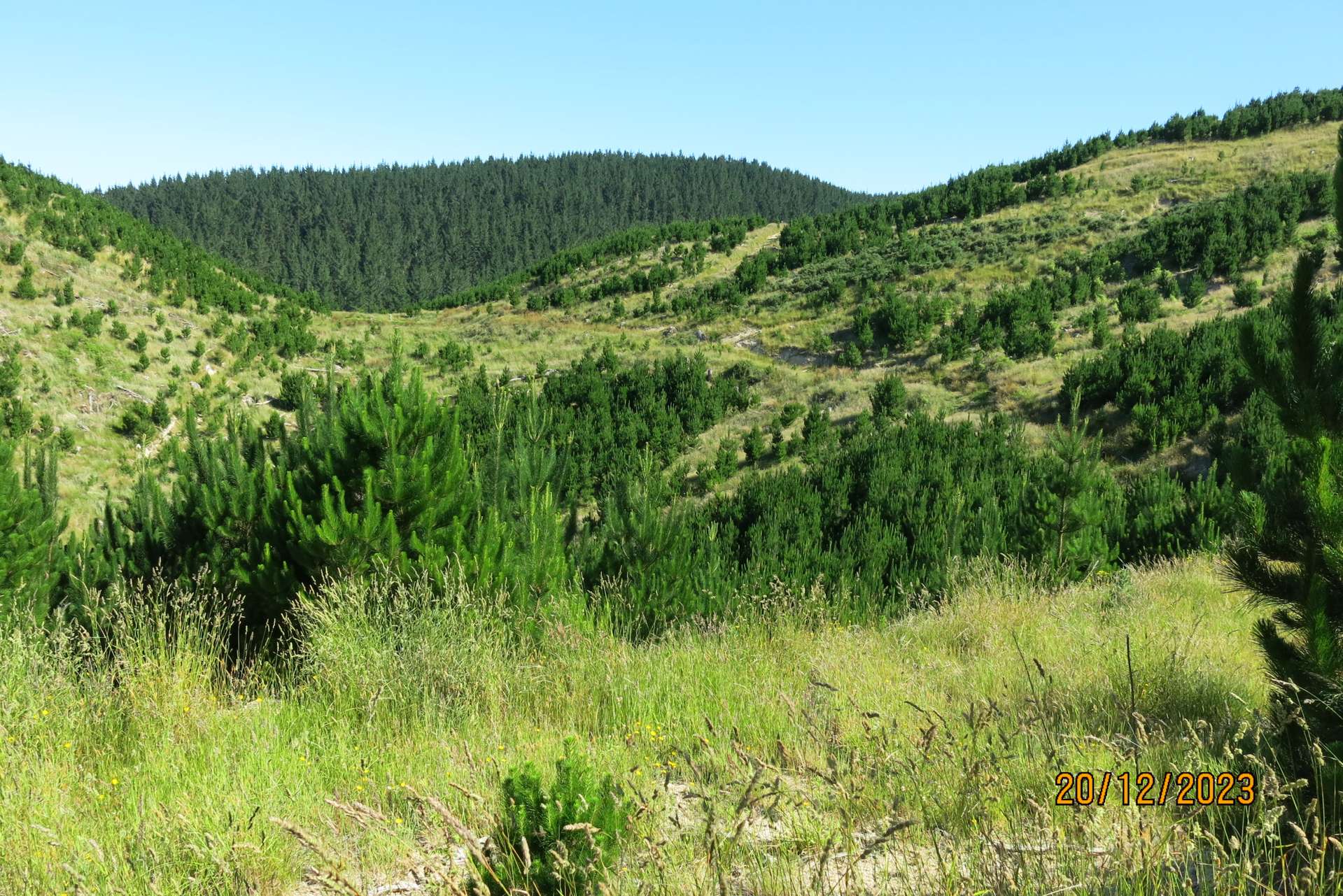 3525 Masterton Castlepoint Road Mangapakeha_0