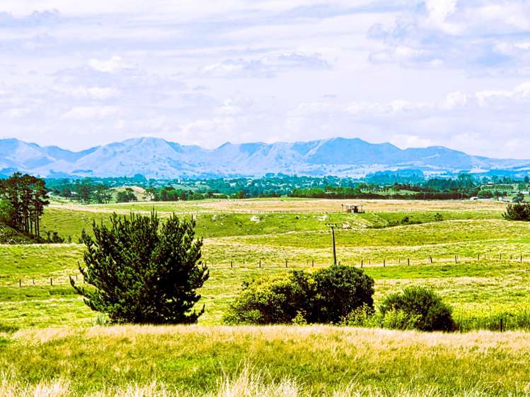 Mount Wesley Coast Road Dargaville_11