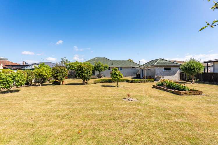 238 Kennedy Road Onekawa_22