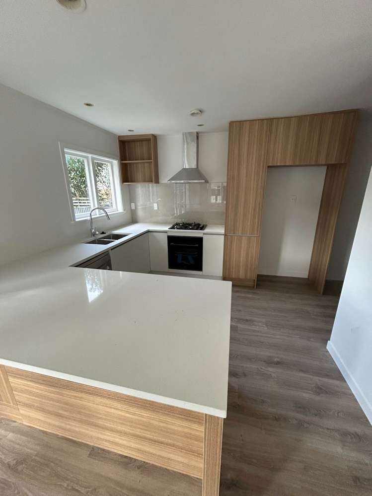 1 Shackleton Road Mount Eden_4