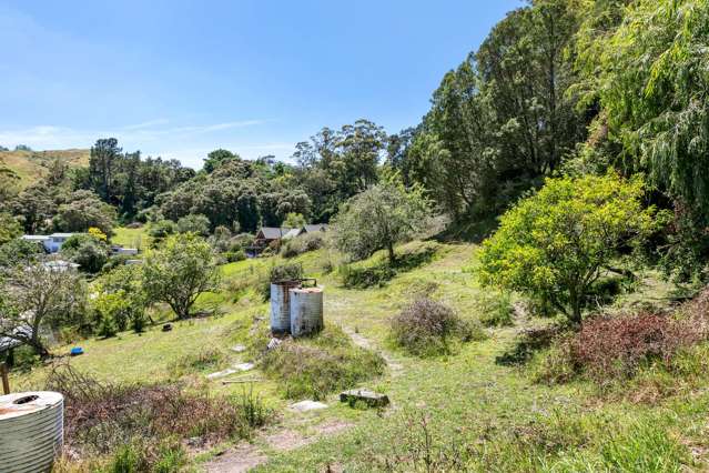 23 Darwin Road Outer Kaiti_3